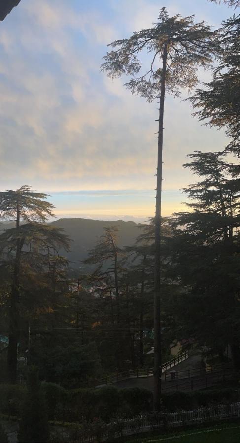 The Edgeworth Bed and Breakfast Shimla Eksteriør billede
